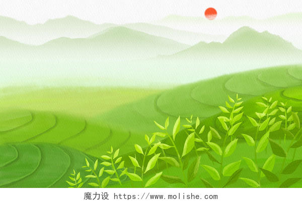 春天绿色水彩茶山茶叶茶树背景插画春茶茶文化采茶